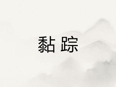 黏踪