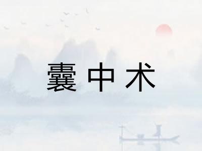囊中术