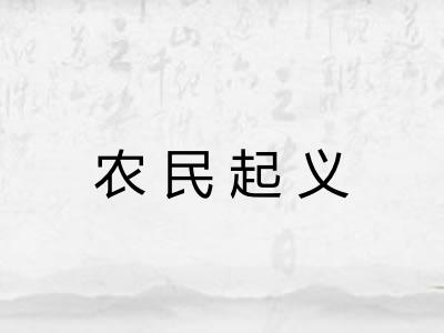 农民起义