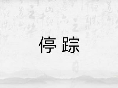 停踪