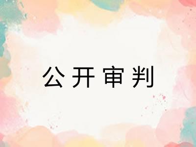 公开审判
