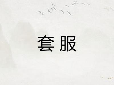 套服