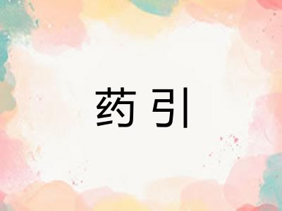 药引