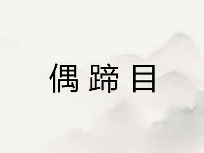 偶蹄目