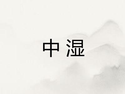 中湿