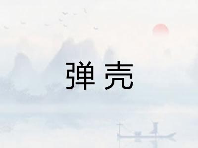 弹壳