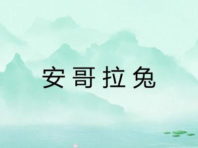 安哥拉兔