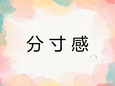 分寸感