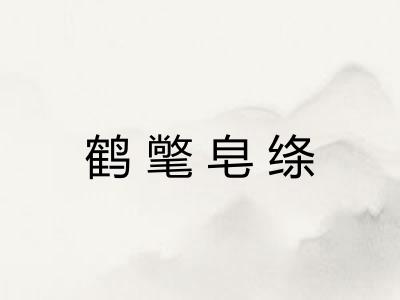 鹤氅皂绦