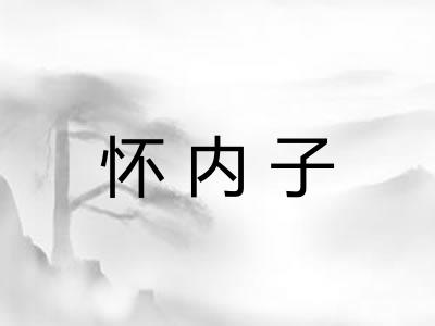 怀内子
