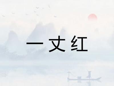 一丈红