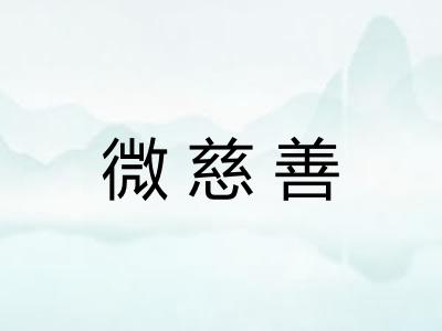 微慈善