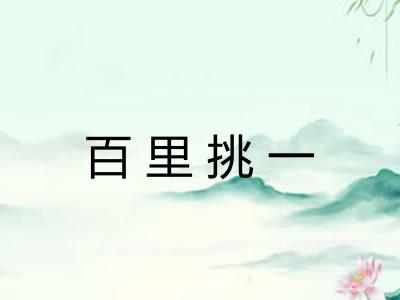 百里挑一