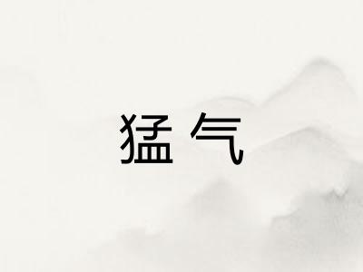 猛气
