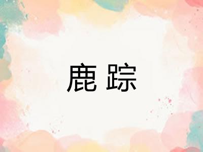 鹿踪