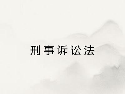 刑事诉讼法
