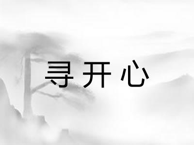 寻开心