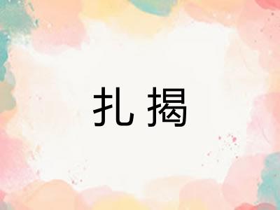 扎揭