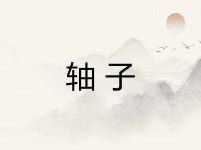 轴子