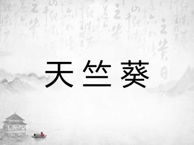 天竺葵