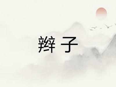 辫子