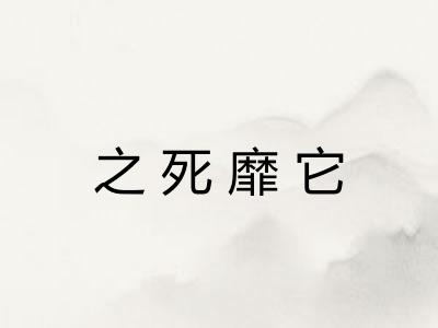 之死靡它