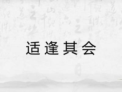 适逢其会