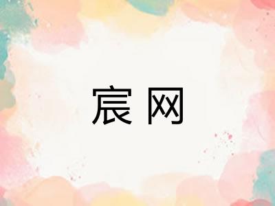 宸网