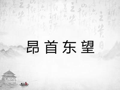 昂首东望