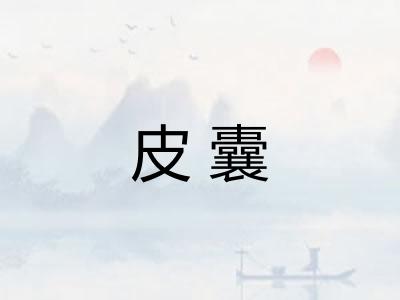 皮囊