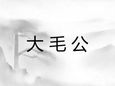 大毛公