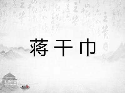 蒋干巾