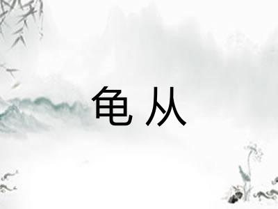 龟从