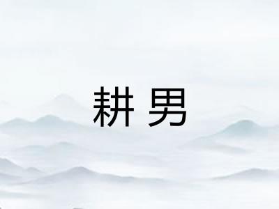 耕男