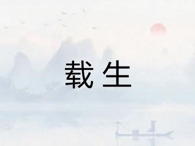 载生