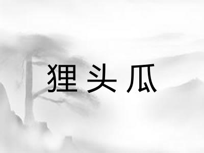 狸头瓜
