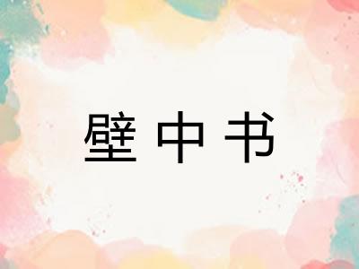 壁中书