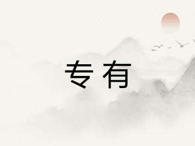 专有
