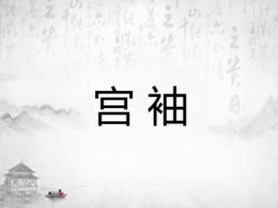 宫袖