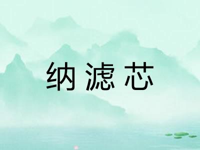 纳滤芯