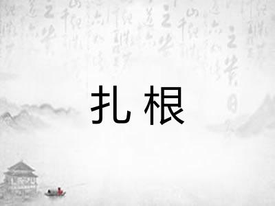 扎根