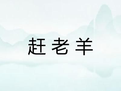 赶老羊