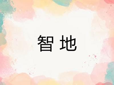 智地