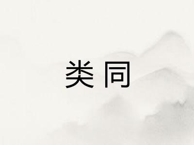 类同
