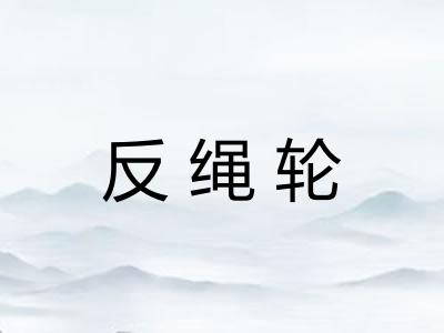 反绳轮