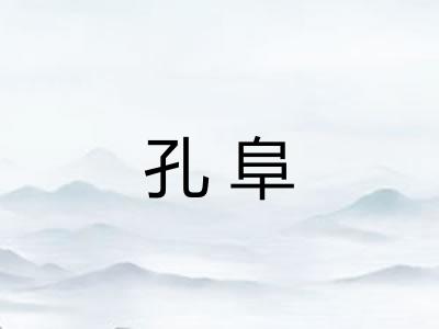 孔阜