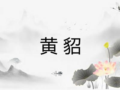 黄貂