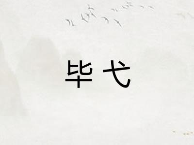 毕弋