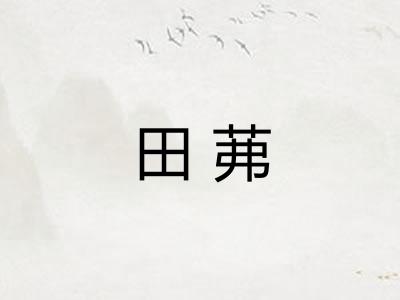 田茀