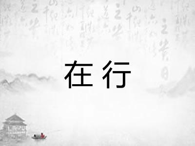 在行